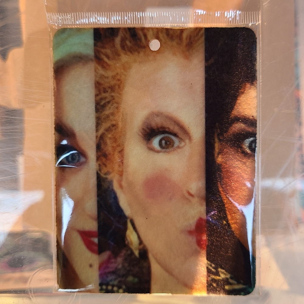 Hocus Pocus Sanderson Sisters Felt Unscented Freshie